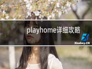 playhome详细攻略