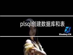 plsql创建数据库和表