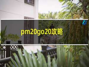 pm go 攻略