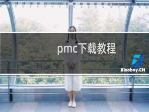 pmc下载教程