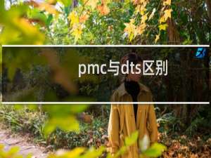 pmc与dts区别
