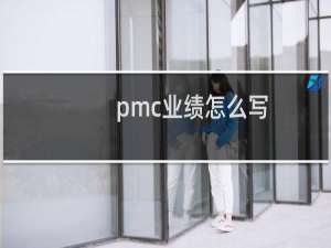 pmc业绩怎么写