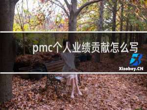 pmc个人业绩贡献怎么写