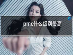 pmc什么级别最高