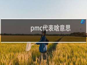 pmc代表啥意思