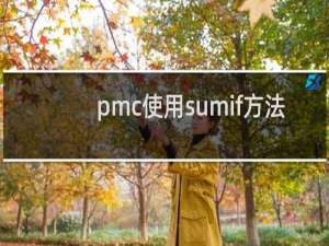 pmc使用sumif方法