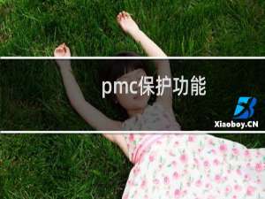 pmc保护功能