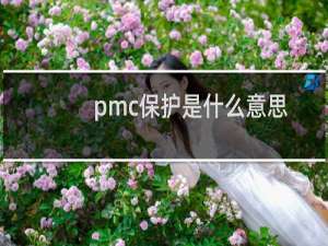 pmc保护是什么意思