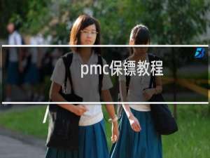 pmc保镖教程