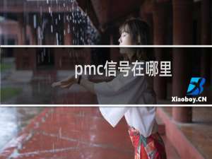 pmc信号在哪里