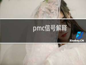 pmc信号解释