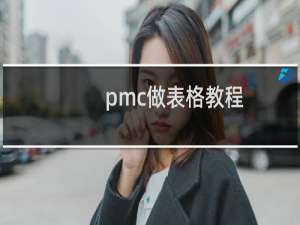 pmc做表格教程
