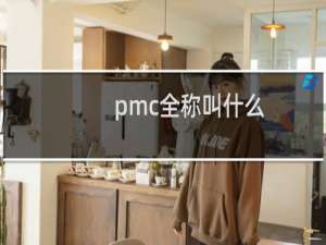 pmc全称叫什么