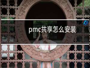 pmc共享怎么安装