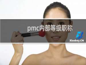 pmc内部等级职称