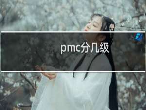 pmc分几级