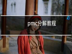 pmc分解教程