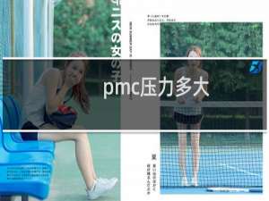pmc压力多大