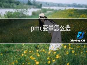 pmc变量怎么选