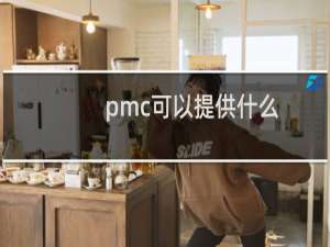 pmc可以提供什么