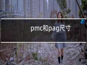 pmc和pag尺寸