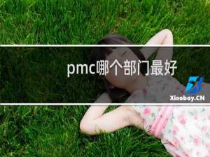 pmc哪个部门最好