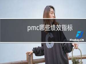 pmc哪些绩效指标