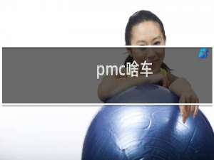 pmc啥车