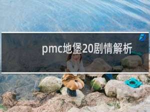 pmc地堡 剧情解析