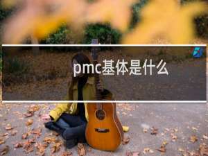pmc基体是什么