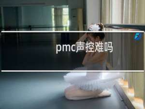 pmc声控难吗