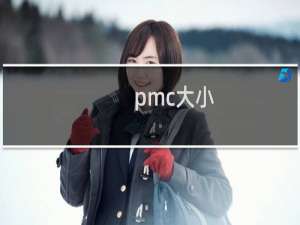 pmc大小