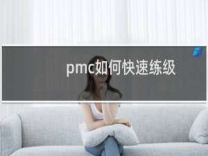 pmc如何快速练级