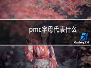 pmc字母代表什么