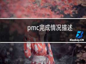 pmc完成情况描述