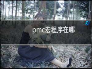 pmc宏程序在哪