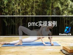 pmc实操案例