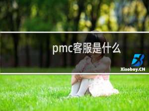 pmc客服是什么