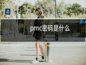 pmc密码是什么