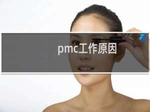 pmc工作原因
