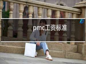 pmc工资标准