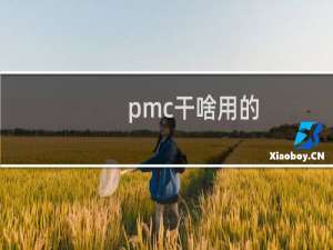 pmc干啥用的