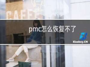 pmc怎么恢复不了