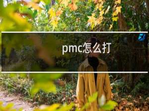 pmc怎么打