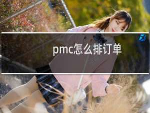 pmc怎么排订单