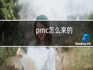 pmc怎么来的