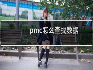 pmc怎么查找数据