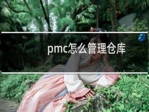 pmc怎么管理仓库
