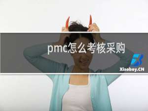 pmc怎么考核采购