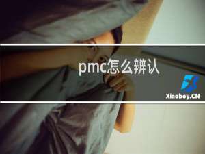 pmc怎么辨认